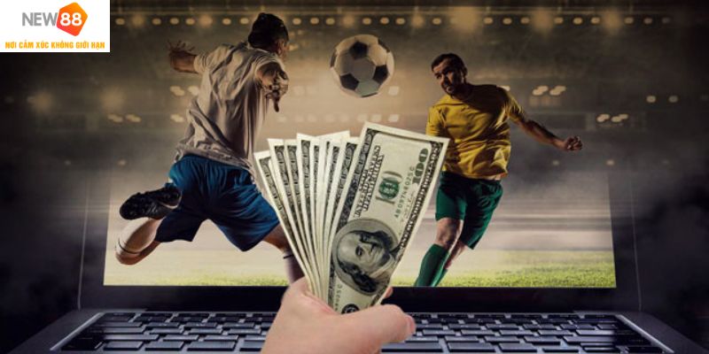 Giải Mã Chơi Cá Độ Luôn Thua Mà Bet Thủ Không Thể Bỏ Qua 1 Giai ma choi ca do luon thua o dau chuan chinh