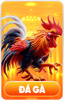 Đá Gà New88